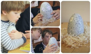 hatchimals-2