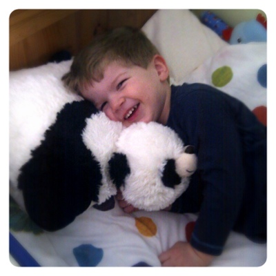 toy cushion