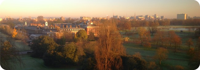 Royal Garden Hotel view