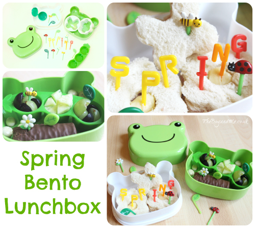 Spring Bento Lunchbox