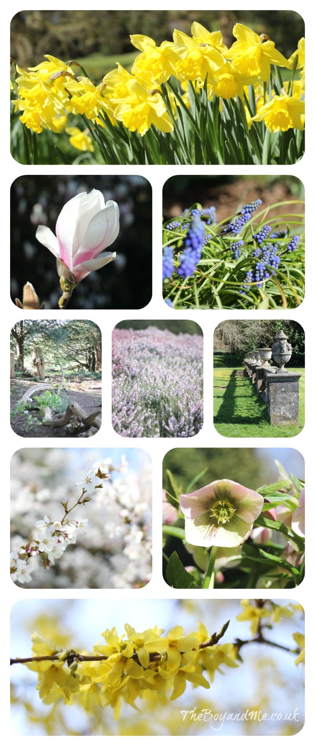 Spring at Dyffryn Gardens