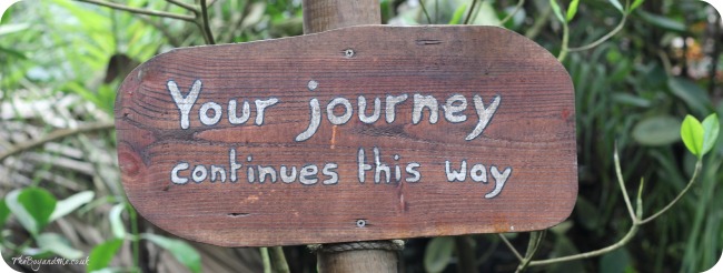 The Eden Project