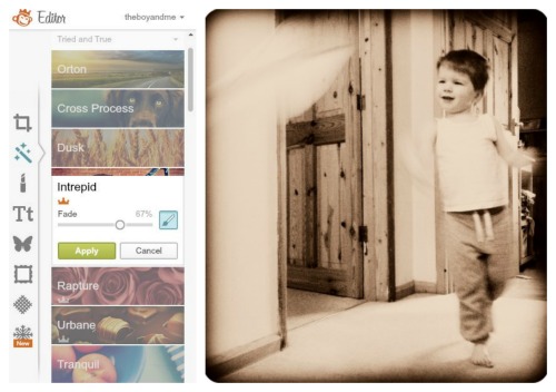 Tips For Completing a 365 Photo A Day Project