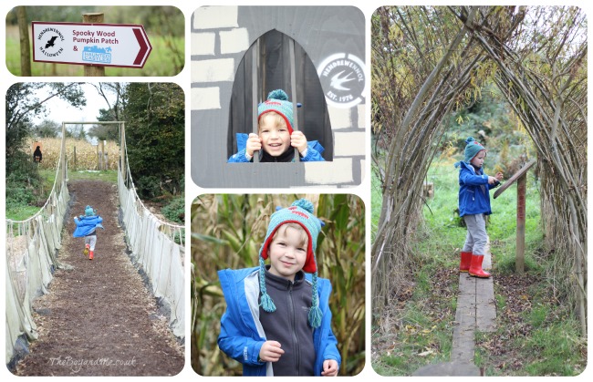 Hendrewennol Maize Maze