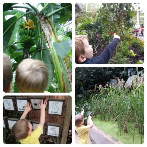 The Eden Project