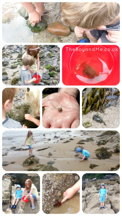 Oxwich Bay