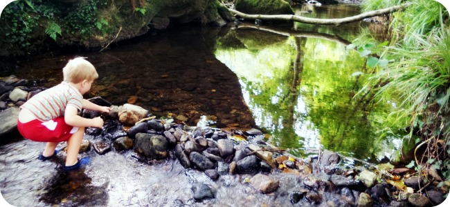 The River at Coombe Mill