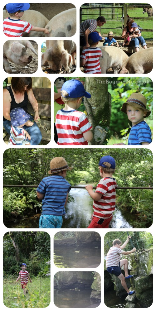 Country Kids of all ages at Coombe Mill 2