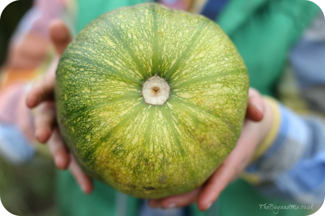 P-P-P-Pick Up A Pumpkin