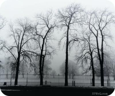 brockwell park