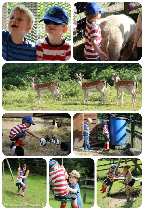 Country Kids of all ages at Coombe Mill 1