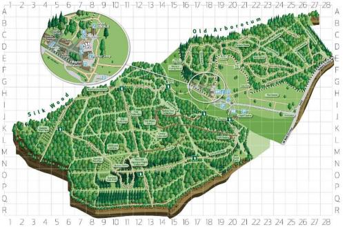 Westonbirt arboretum 