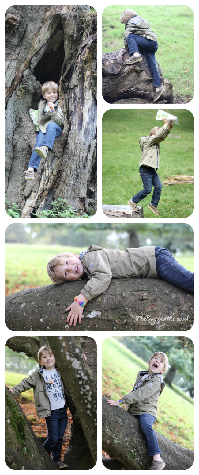 Exploring in Dyrham Park