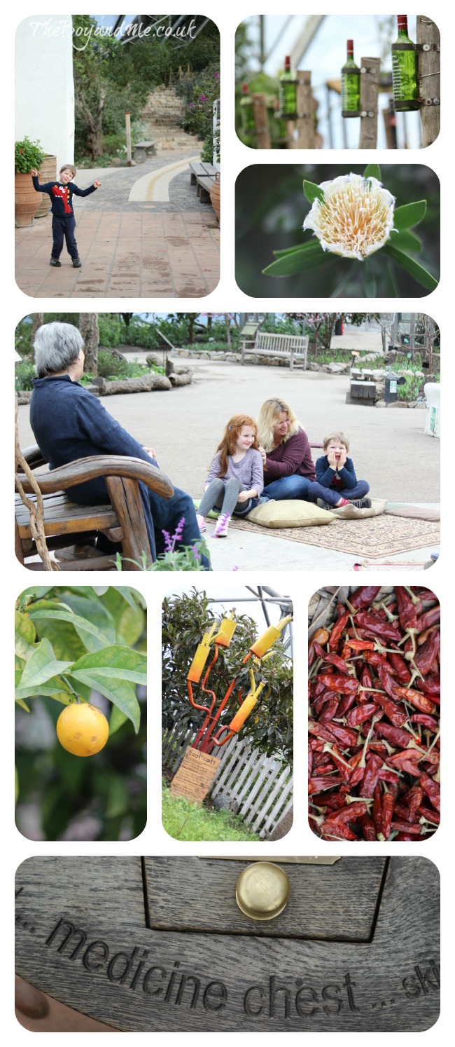 The Eden Project 