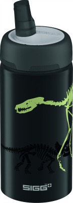 SIGG bottle