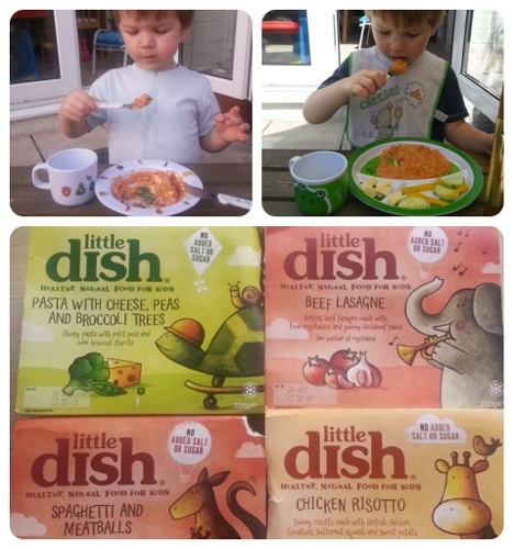 Little Dish