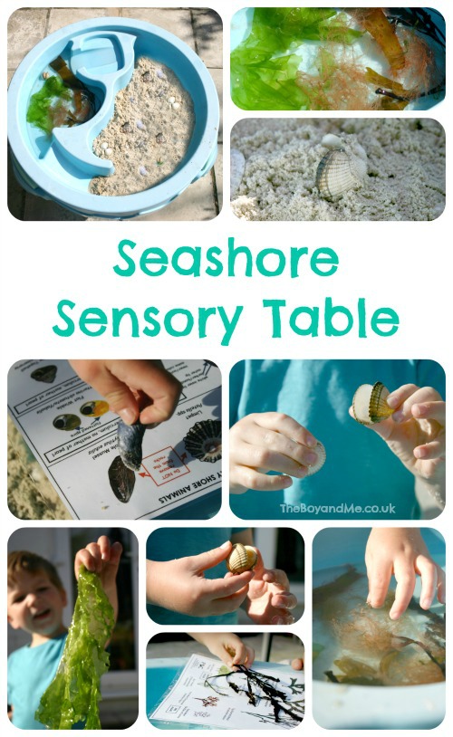 Seashore Sensory Table