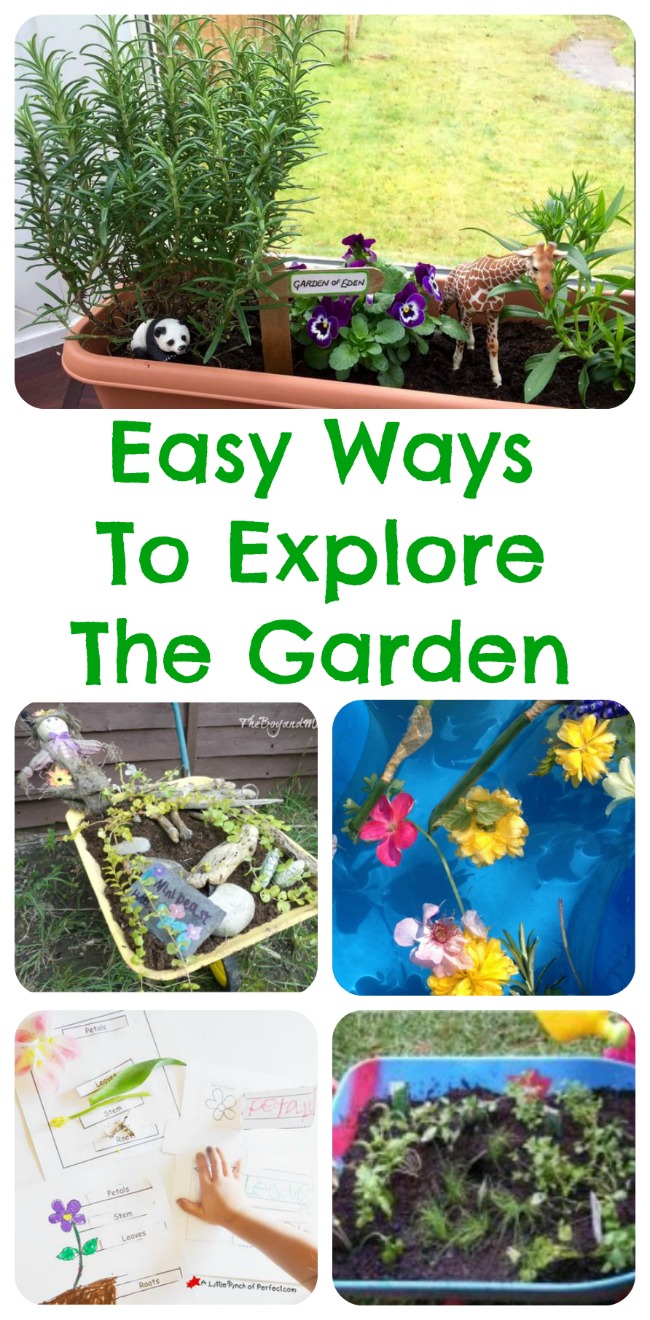 Easy Ways To Explore The Garden